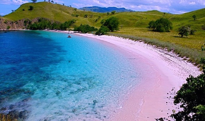 pedomanwisata