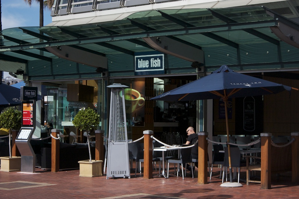 bluefishsydney.com.au